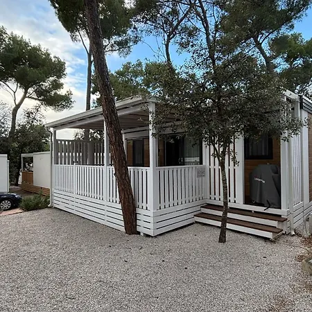 Campingplatz Mobile Homes Eva *