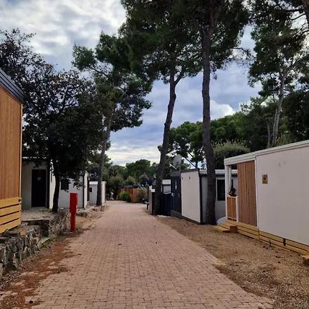 Mobile Homes Eva *